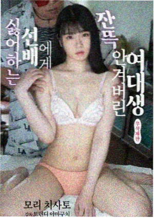 剧集《雾城日记》封面图